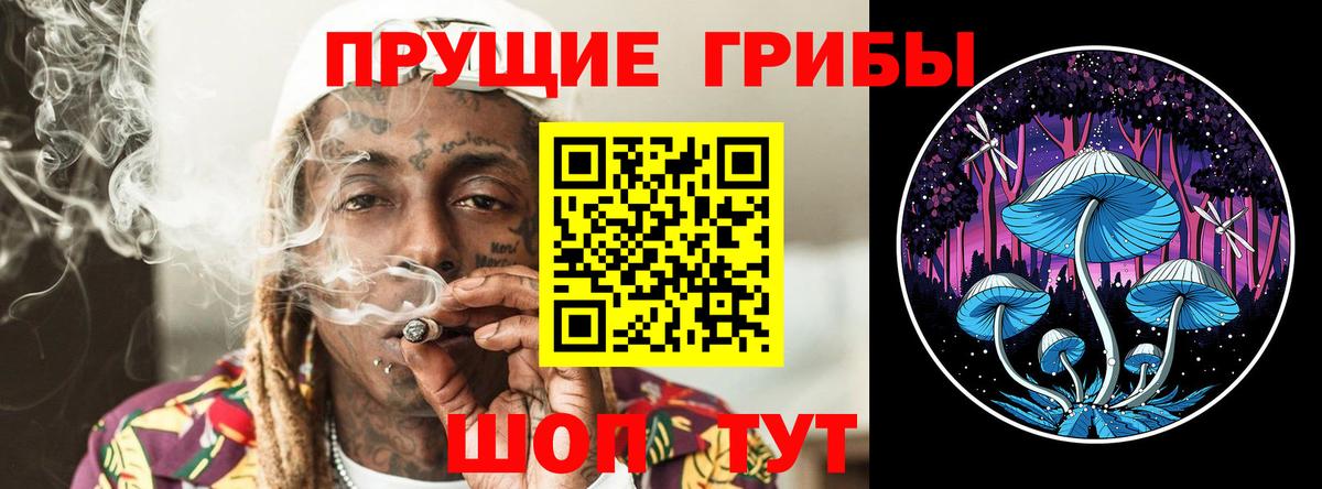 Галлюциногенные грибы GOLDEN TEACHER  Вход с VPN  Фурманов 